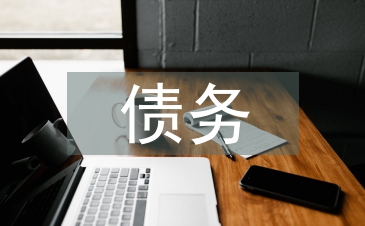 債務工作經驗總結