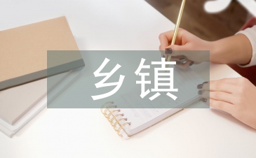 鄉(xiāng)鎮(zhèn)計生匯報材料