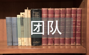 設計公司團隊工作計劃