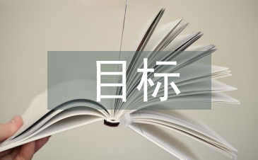 企業信息化目標