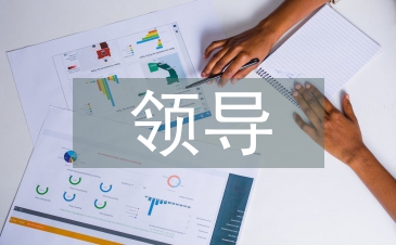 領導個人工作總結