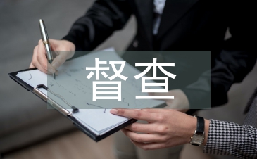 黨建工作督查匯報材料