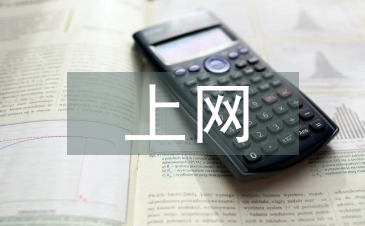 上網(wǎng)調(diào)查報告